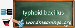 WordMeaning blackboard for typhoid bacillus